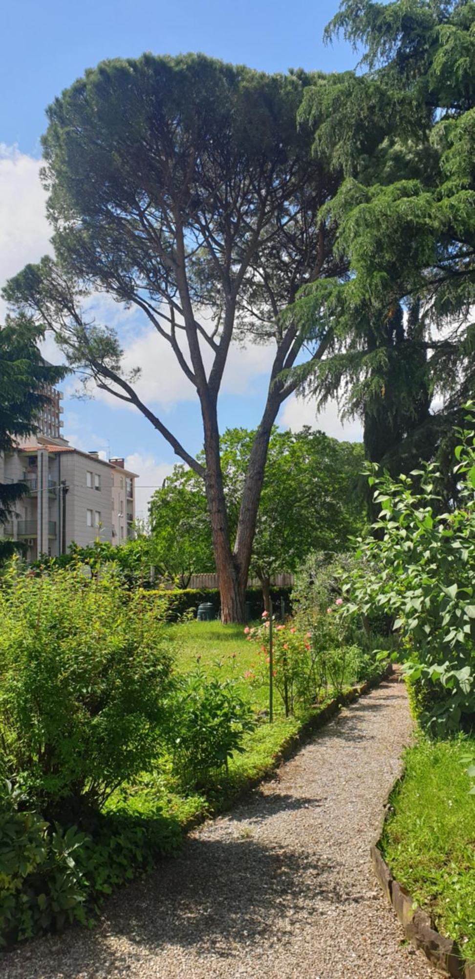 Alejlop Apartment Gorizia Bagian luar foto